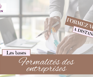FORMALITÉS DES ENTREPRISES