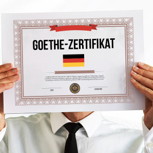 ALLEMAND PROFESSIONNEL AVANCÉ (RS 6436)